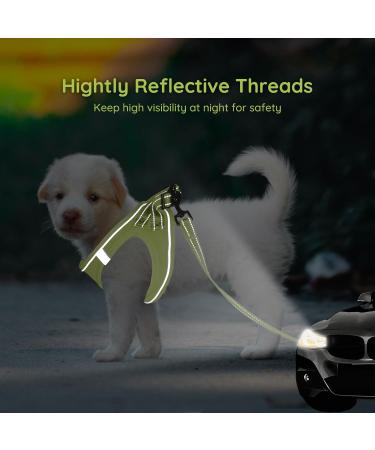 BELLA & PAL Hundegeschirr f r Kleine Hunde - Atmungsaktives Anti-Zug Step-in Geschirr mit Leine Reflektierend in Avocadogr n S (35-40 cm Brustumfang) - Buy Online on GoSupps.com