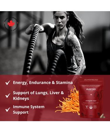 ENERGIZE NOW by EVERSIO WELLNESS - Organic Cordyceps Mushroom Supplement - 8:1 Cordyceps Militaris Extract in 60 Vegan Capsules (500mg) - Cordyceps Mushroom Capsules Made with Organic Extract from Real Mushrooms and NO GRAIN - 32% Verified Beta-D-Glucans! - Buy Online on GoSupps.com