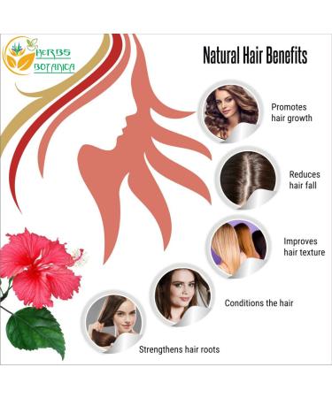 Herbs Botanica Herbal Hair Mask Combo - Brahmi Reetha Shikakai Hibiscus & Amla Powder for Hair Growth & Scalp Health | 1.65 lbs | International Shipping - Buy Online on GoSupps.com