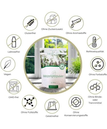 Organic Wheatgrass Powder 400g - Certified Organic Raw Food Quality Lab Tested - International Shipping Available - Buy Online on GoSupps.com