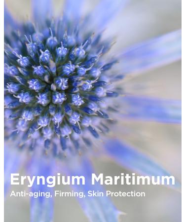 THESAEM Facial Intensive Peeling Gel - Korean Exfoliating Gel for Dead Skin Cells | PHA Bamboo Powder Cell Renew Bio Micro Peel | 5.41 fl. oz - Shop Internationally - Buy Online on GoSupps.com