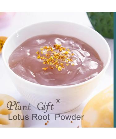100% Natural Pure Lotus Root Powder 100g/3.52oz pour smoothies shakes p tisseries et boissons | sans conservateurs lyophilis sans sucre ajout  - Buy Online on GoSupps.com