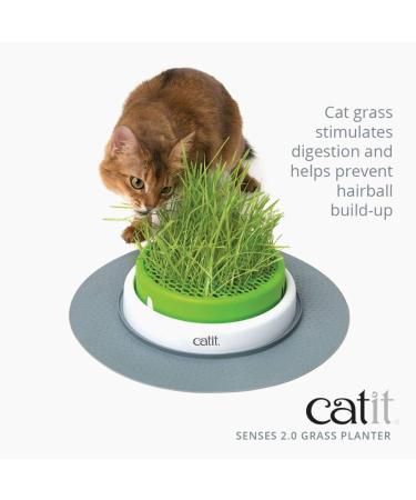 Catit Play Track Super - Ultimate Super Circuit & Grass Planter for Cats | International Shipping - Buy Online on GoSupps.com