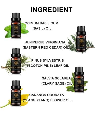 Aromatherapy Cedar Essential Oil Set for Diffuser 100% Pure Ylang Ylang Essential Oil Kit for Humidifier 5x10ml Therapeutic Grade Basil Oil Set-Clary Sage Ylang Ylang Basil Pine Needles Cedar Oils - Buy Online on GoSupps.com