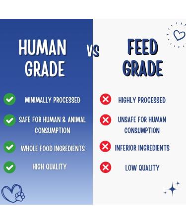 Just Natural Paws Blueberry & Pumpkin Dog Treats - Healthy Human-Grade Superfood Dog Training Treats Natural & Vegetarian No Preservatives or Additives - Buy Online on GoSupps.com