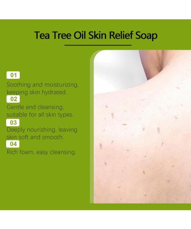  Raevior Tea Tree Oil Soap Bar - with Coconut Oil & Turmeric Natural Foot & Body Soap for Healthy Skin Facial Cleanser and Body Oder Herbal Cleansing Soaps Odor Control & Daily Refreshing Cleanse (4pcs) - Buy Online on GoSupps.com