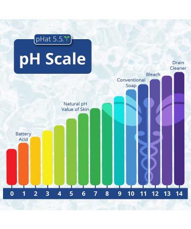 Manuka Honey Gentle Face Wash for Seborrheic & Atopic Dermatitis - Organic & Hypoallergenic Cleanser for Acne Prone Skin - Paraben & Sulfate Free (8 oz) - Buy Online on GoSupps.com