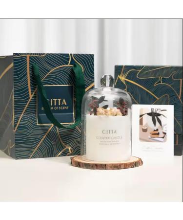 Long-Lasting Fragrance Candles | Premium Scented Candles with Essential Oils | Elegant Home Decor Gift & Meditation Aromatherapy - Buy Online on GoSupps.com