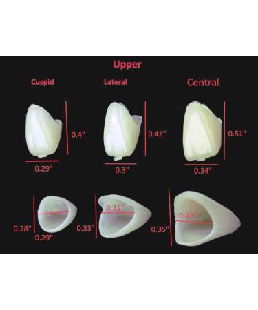 Temporary Tooth Crown Repair Material - Front & Molar Posterior - 2 Boxes (100 pcs) - Fix Missing or Broken Teeth - Buy Online on GoSupps.com