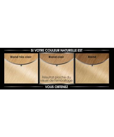 Garnier Olia Ammonia-Free Blonde Hair Color - D+++ Maxi Coloration Pack of 2 - Natural Blonde Shade - Buy Online on GoSupps.com