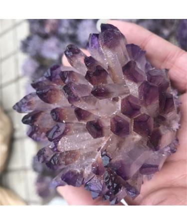 Natural Crystal Cluster Amethyst Specimen ore Purple Black Quartz Stone Original Crystal Home Decoration NaturalReiki Decoration Full of Texture (Color : Purple Size : 600-700g) 600-700g Purple - Buy Online on GoSupps.com