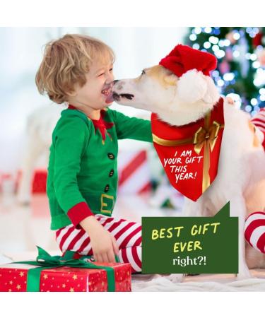 Christmas and New Years Dog Bandanas Set of 2 - Reversible, 4 Patterns - Funny Pet Scarf for Small, Medium & Large Breeds in Green, Red & Blue - Boy or Girl Holiday Medium - Buy Online on GoSupps.com