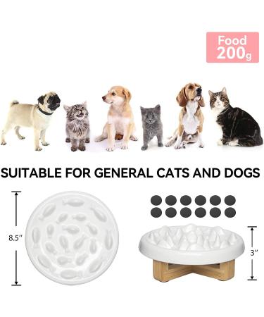 Raised Cat Dog Slow Feeder Bowl 8.5'' Wide Whale-White | Ceramic Elevated Pet Bowl for Healthy Eating | Cat Puzzle Feeder Stand for Slow Eating | 3'' High | Cat and Dog Slow Feed Bowls - Buy Online on GoSupps.com