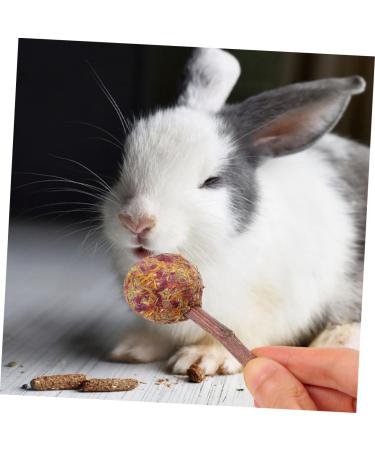 NOLITOY 12pcs Pet Rabbit Snacks Chinchilla Treats Teeth Grinding Sticks Pet Chewing Playthings Animal Petal - Buy Online on GoSupps.com