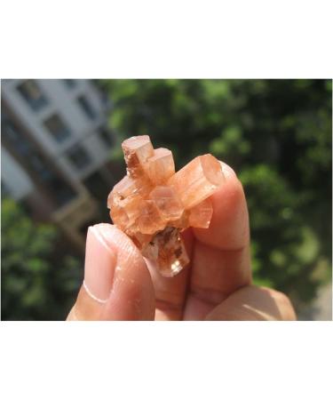 Natural Rare Aragonite Quartz Crystal Cluster Shape Rough Stone Nepheline Home Decor Gifts Beautiful Natural Luster (Size : 10pcs) - Buy Online on GoSupps.com
