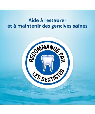 CB12 - Bain de bouche - Soin gencives - Sans alcool - Combat la mauvaise haleine pendant 12 heures - Aide restaurer et maintenir des gencives saines - Ar me menthe fra che - 250 ml - Buy Online on GoSupps.com