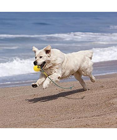 Durable Dog Toys - Flee Durafoam Ball with Rope for Small & Large Dogs | Water Swimmer Toy | International Shipping - Buy Online on GoSupps.com