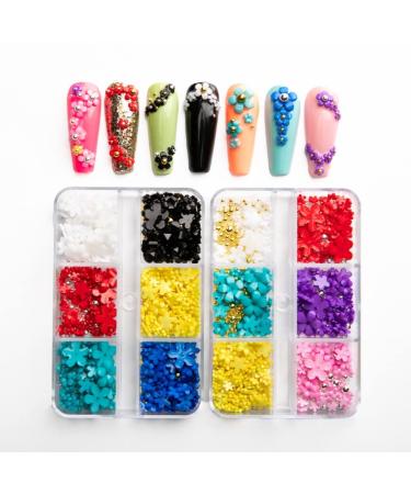 Kys Pretty 3D Nail Art Supplies, 2 boxes 3D Flowers for Nails, 12 Grids 3D Flower Nail Charms with metal Nail caviar beads, Nail accessories for manicure DIY nail decoration, Nail Art Kit