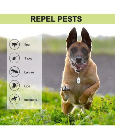 Buy Pacegre Ultrasound Pest Repeller - 2 Portable Mini Insecticides for Rats Mosquitoes Cockroaches & Spiders - International Shipping Available - Buy Online on GoSupps.com