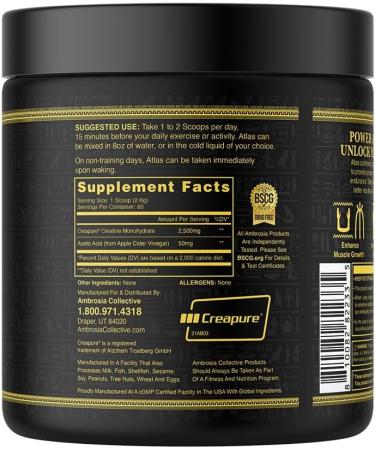 Ambrosia Atlas Performance Creatine Creapure + Acetic Acid Explosive Strength & Endurance Support Muscle Recovery Fatigue Resistance & Performance Boost Support 30 Servings - Buy Online on GoSupps.com