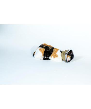 Buy All Four Paws The Comfy Cone XS Nude - Best Pet Collar for Recovery | International Shipping - Buy Online on GoSupps.com