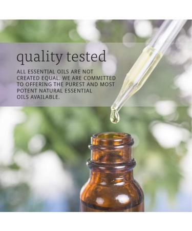 NOW Pine Oil 1 Fl Oz (Pack of 2) - Buy Online on GoSupps.com