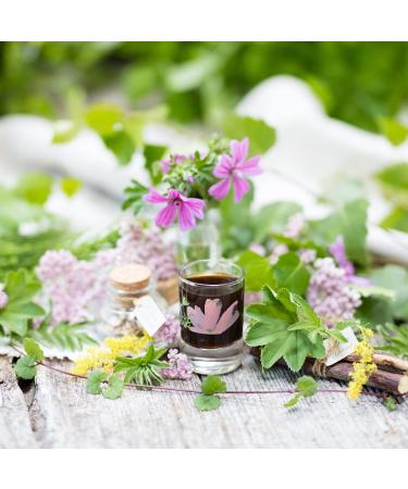 Sonnenmoor Niermison Herbal Extract 8x100ml - Pure Paths Clear Brook Liquid Herbal Supplement for Kidney Health - Shop Internationally! - Buy Online on GoSupps.com