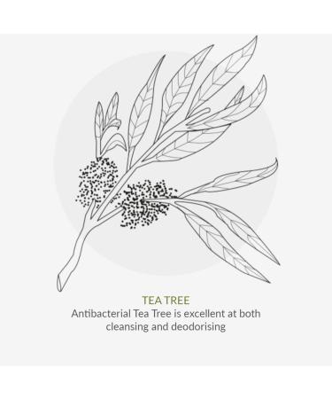 Green People Organic Children Quick Clean Hand Foam 100ml - Gentle Natural Hand Cleanser for Kids, Toddlers & Babies | SLS & Paraben Free | Vegan & Cruelty Free - Buy Online on GoSupps.com