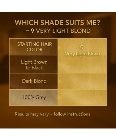  Bendida Bionda Set of 2 Professional Permanent Hair Colors 200 ml Keratin and Moringa Conditioning Long-Lasting and Shiny Color 100% Gray Coverage (9 Very Blonde) - Buy Online on GoSupps.com