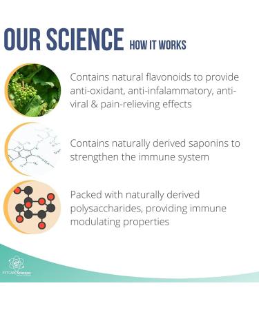 PET CARE Sciences Approx 90 Servings Cat Kidney Support Chews Feline Kidney Restore Renal Cat Treats Cats Kidney Support Supplement Urinary Tract Irritations Control for Cat - 3 Oz - Buy Online on GoSupps.com