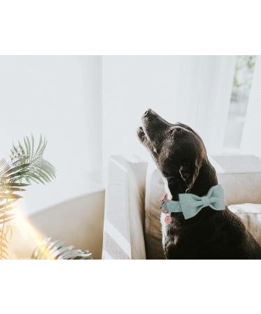 Dogwong Green Pet Collar - Adjustable Comfortable Dog Collar with Removable Fly for Small & Medium Dogs - Perfect Gift for Girls - Pack of 1 - Buy Online on GoSupps.com