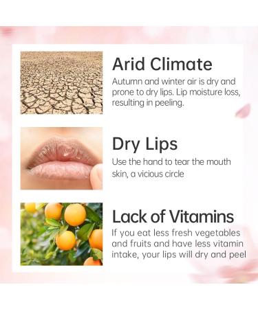 CATKIN Ultra Nourish Lip Balm for Dry & Chapped Lips Hydrating Lip Balm with Avocado Butter for 12h Moisture 3g C01 - Buy Online on GoSupps.com