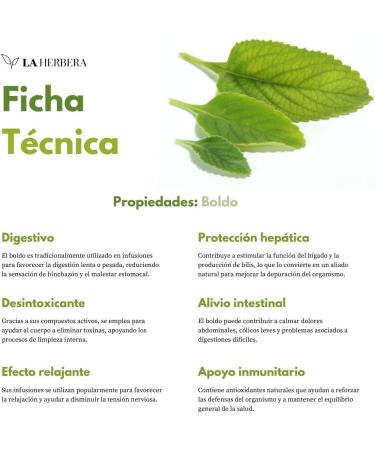 The Herbera Boldo Chilean boldo Peumus Boldus in loose leaves boldo herbal tea infusion for the wellbeing of the digestive system gentle relaxing effect and antioxidant support intense - Buy Online on GoSupps.com