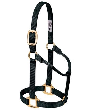 WEAVER Leather Non-adjustable Halter Black Average Horse