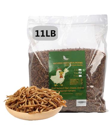 Non-GMO Dried Mealworms or Black Soldier Fly Larvae, 100% Non-GMO Natural High-Protein, Treats for Chicken, Fish, Wild Birds, Bird Food, BSF Larvae Treats for Hens, Ducks Mealworms 11 Pound (Pack of 1)