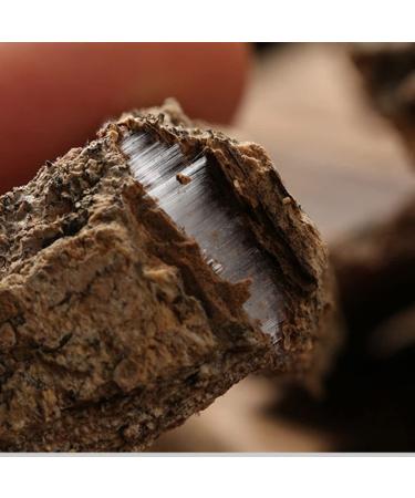 Eucommia Ulmoides Cortex Eucommiae Eucommia Ulmoides Skin Du Zhong Pi Ulmoides Eucommia Bark Natural Wild Eucommia Bark Eucommia Bark Cortex Eucommiae Ulmoides Dry Herbs Chinese Herb Medicine - Buy Online on GoSupps.com