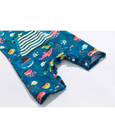 Bonverano Baby Boys Swimsuit 9-12 Months UPF 50+ Sun Protection One Piece - Buy Online on GoSupps.com