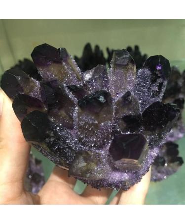 Room Decoration Natural Crystals and Stones Natural Amethyst Quartz Crystal Cluster Phantom Quartz Raw Specimen for Home Decoration for Decoration (Color : 700-800g) - Buy Online on GoSupps.com