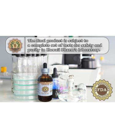 Equisetum Hyemale Glycerite Organic Dried Herb Extract 2 oz - Alcohol-Free Liquid Supplement - Buy Online on GoSupps.com