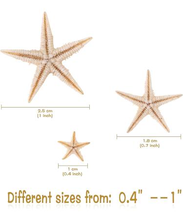 Pearl PCCLION Small Starfish Star Sea Shell Beach Craft 0.4-1 - 200 Pcs - Buy Online on GoSupps.com