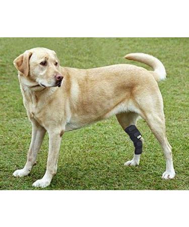 RockPet Dog Hind Leg Joint Brace Therapeutic Hip Bandage for Canines (L) - Buy Online on GoSupps.com