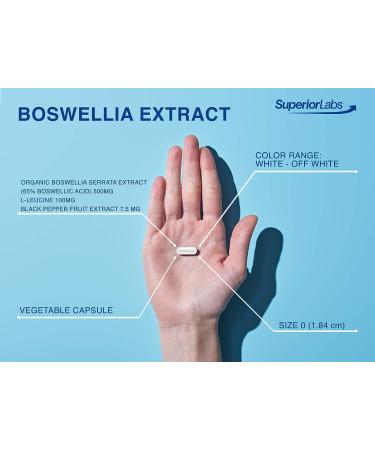 Superior Labs Boswellia Extract - Pure Non GMO 65% Boswellic Acids - 240 Veg Capsules - Buy Online on GoSupps.com