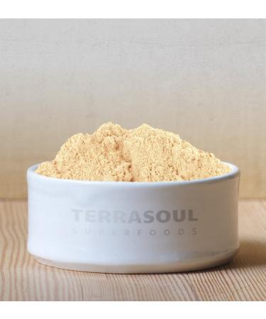 Terrasoul Superfoods Organic Ginger Powder 1 lb - Lab-Tested, Raw & Potent Spicy Flavor | Shop Now - Buy Online on GoSupps.com