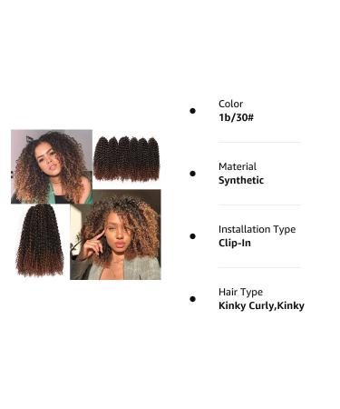 12 Inch Short Passion Twist Hair Marlybob Crochet Hair - 6 Bundles 12 Kinky Curly Crochet Hair for Black Women - Buy Online on GoSupps.com