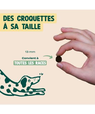 Franklin Sterilized Dog Food Balance Range with 50% Beef Grain-free kibble Size 13 mm 12 kg - Buy Online on GoSupps.com