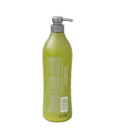 RECAMIER 34332 Salon Professional Volumizing Shampoo for Damaged Hair | Keratin & Argan Oil Infused | Salt Free | No Dandruff | Hair Thickening & Strengthening | 33.8 Fl Oz - Buy Online on GoSupps.com