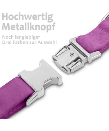 Shop Asvin Velvety Dog Collar - Soft Comfortable & Removable | Multi-Colored for Weddings Birthdays & Parties | International Shipping Available - Buy Online on GoSupps.com