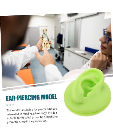 Healeved 2pcs Colored Earring Molds Teaching Aid - Green 3D Human Ear Model - Buy Online on GoSupps.com