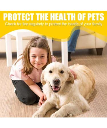 6 Peigne Anti Poux Pour Les Enfants Les Adultes Et Toute La Famille Il Peut galement Servir De Peigne Anti Puces Pour Chat Pr venir Les Puces Et Les Tiques - Buy Online on GoSupps.com
