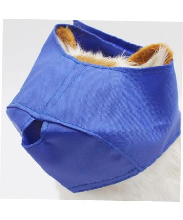 Shop Minkissy Fish Shells Dog Sweater & Glasses | Puppy Eye Flap & Cat Eye Mask - Blue Pet Apparel for Pets with Blindness - Buy Online on GoSupps.com
